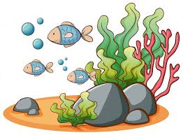fishkeeping